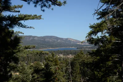 DSC_5095 (Large).JPG